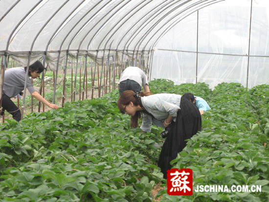 對口援建成效顯著 江蘇助綿竹堅(jiān)強(qiáng)崛起