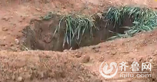 濟南章丘麥地突現(xiàn)五米深坑 警方懷疑系盜墓賊所挖