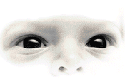 How come we have two eyes but only see one of everything?