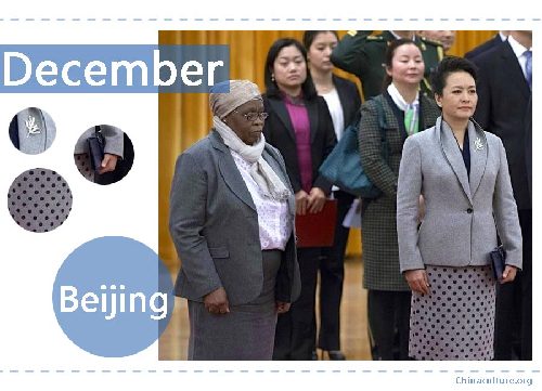 第一夫人衣櫥：彭麗媛2014時(shí)尚盤(pán)點(diǎn)（組圖）