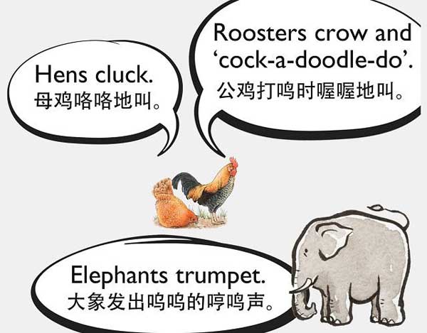 自然界中有各種聲音 如何用英語來描述動物的叫聲？